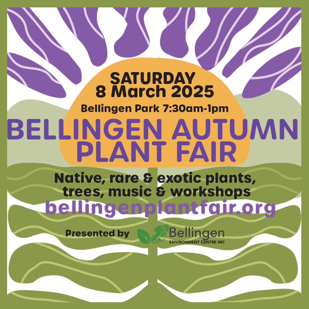 Bellingen-Autumn-Plant-Fair-2025