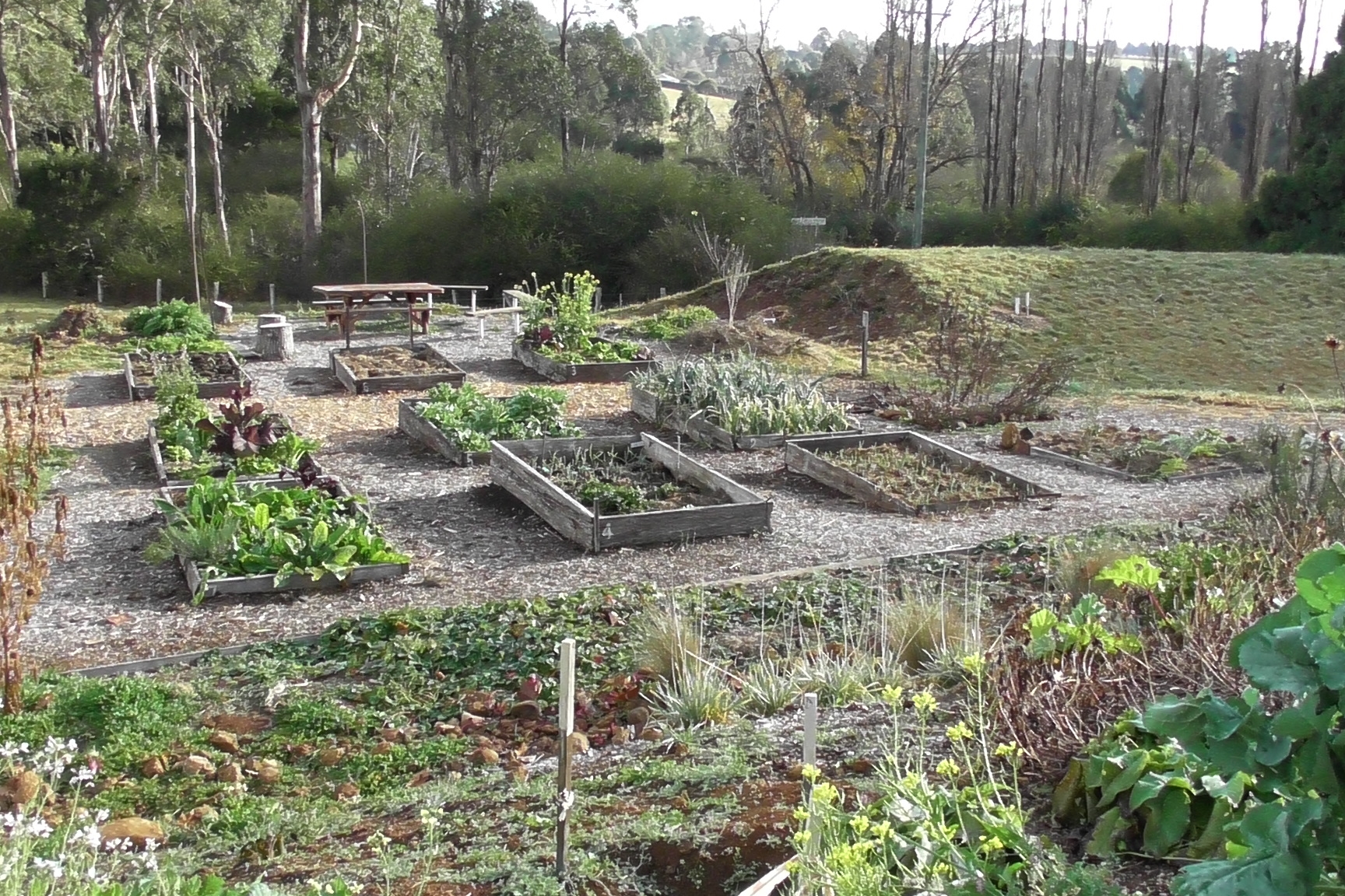 Garden-Beds