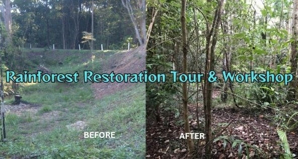 Rainforest-Restoration-Tour